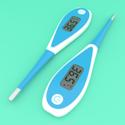 2San Digital Thermometer